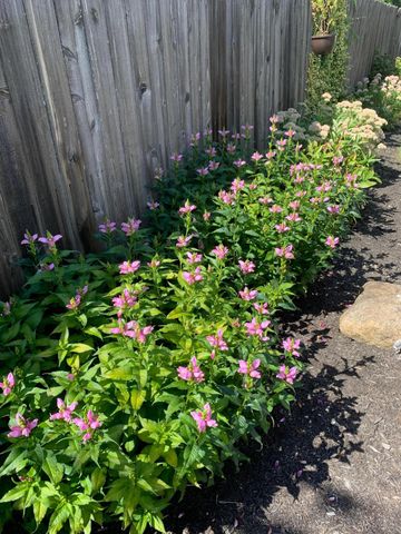 531 Richards Road, Columbus, OH 43214