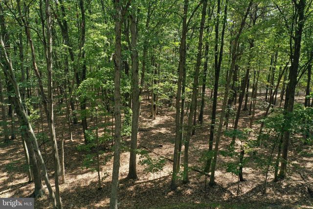 WALNUT RIDGE RD, Oldtown, MD 21555