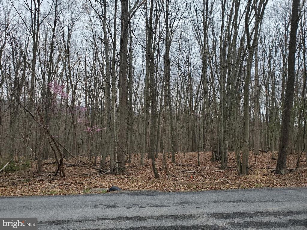 WALNUT RIDGE ROAD, Oldtown, MD 21555
