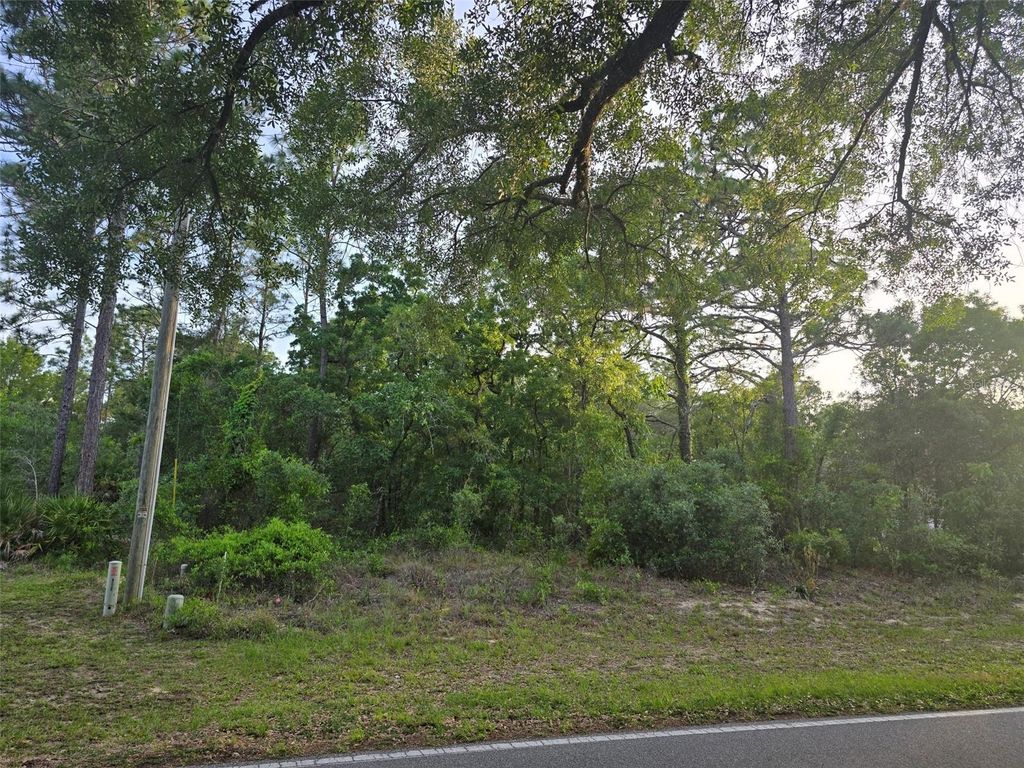 116 S OAK VILLAGE BOULEVARD, Homosassa, FL 34446