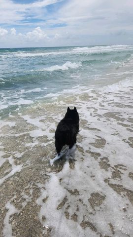 1472 Via Cameron, Jupiter, FL 33477