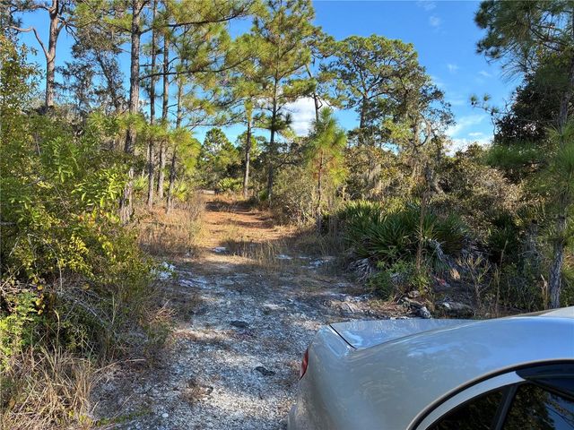 321 SHOWBOAT AVENUE, Lake Placid, FL 33852