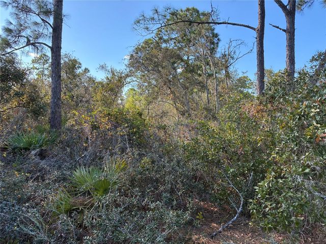 321 SHOWBOAT AVENUE, Lake Placid, FL 33852