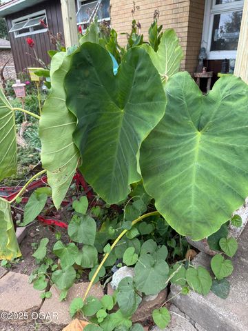 2808 Blue Bell Avenue, Neosho, MO 64850