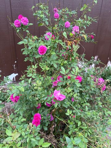 2808 Blue Bell Avenue, Neosho, MO 64850