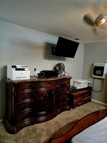 229 Carter 254, Grandin, MO 63943