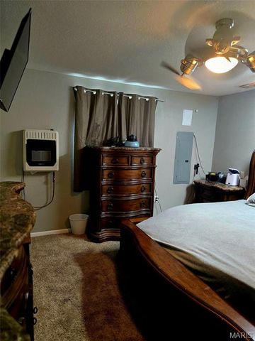 229 Carter 254, Grandin, MO 63943