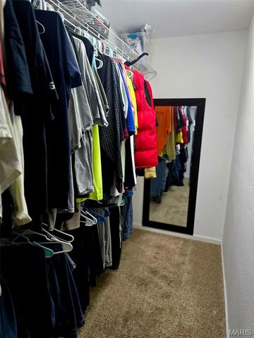 229 Carter 254, Grandin, MO 63943