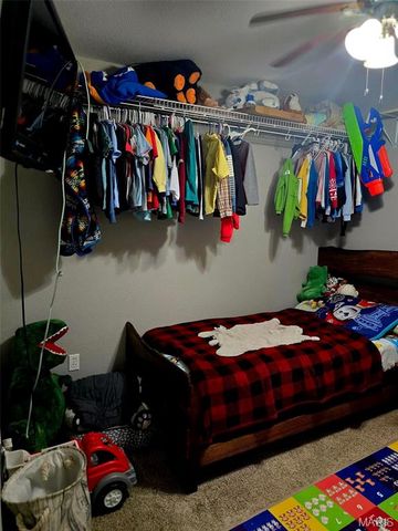 229 Carter 254, Grandin, MO 63943