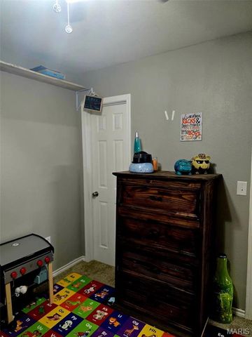 229 Carter 254, Grandin, MO 63943