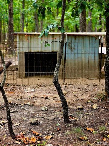 229 Carter 254, Grandin, MO 63943