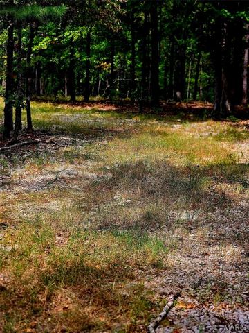 229 Carter 254, Grandin, MO 63943