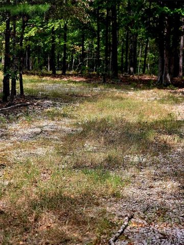 229 Carter 254, Grandin, MO 63943