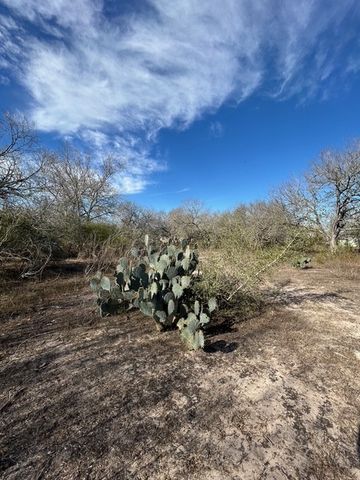 403 County Road 324, Alice, TX 78332