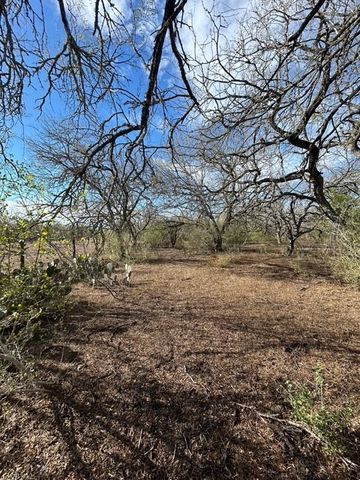 403 County Road 324, Alice, TX 78332