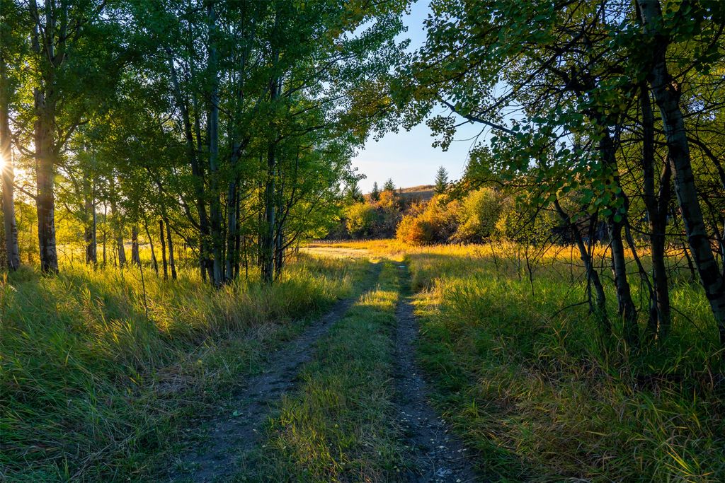 370 Star Ridge Road, Bozeman, MT 59715 photo 3