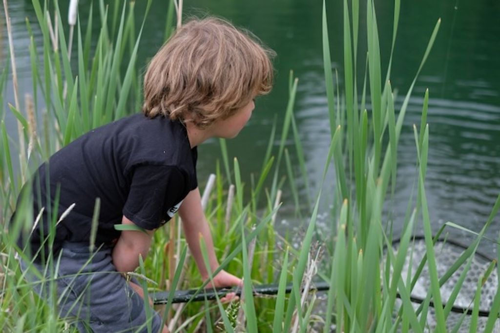 370 Star Ridge Road, Bozeman, MT 59715 photo 55
