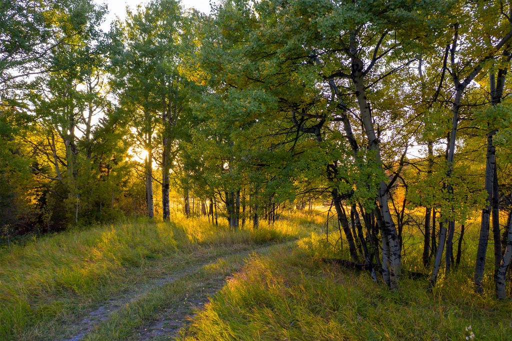 370 Star Ridge Road, Bozeman, MT 59715 photo 63