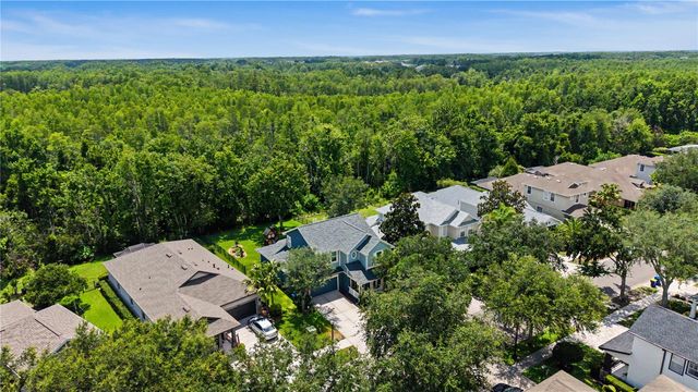 8137 LAGERFELD DRIVE, Land O Lakes, FL 34637