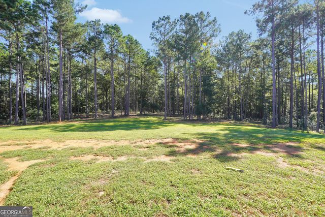 787 Silver Dollar Road, Milner, GA 30257