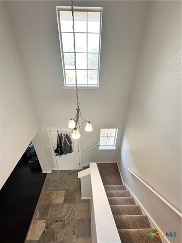 209 Peppergrass Cove, Kyle, TX 78640