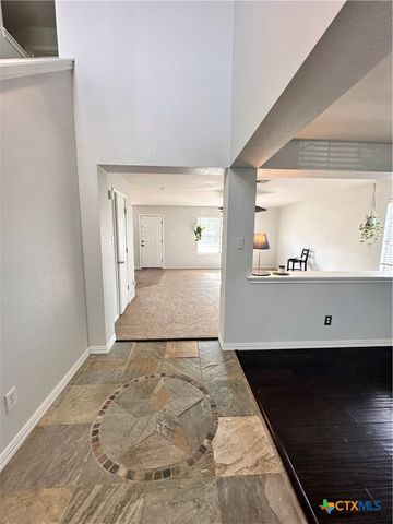 209 Peppergrass Cove, Kyle, TX 78640