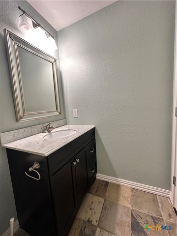 209 Peppergrass Cove, Kyle, TX 78640