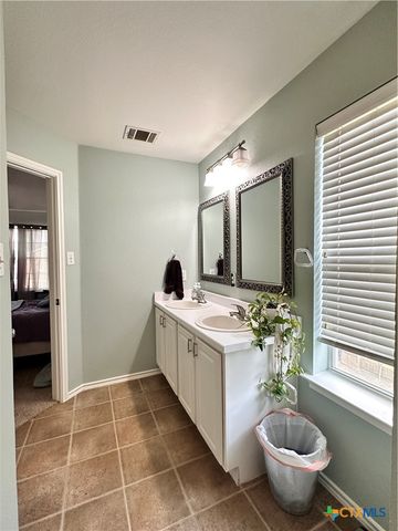 209 Peppergrass Cove, Kyle, TX 78640