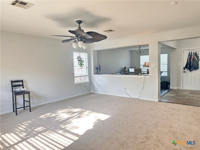209 Peppergrass Cove, Kyle, TX 78640