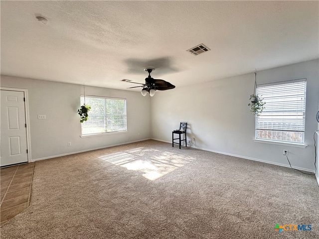 209 Peppergrass Cove, Kyle, TX 78640