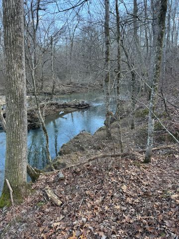 0 Bains Rd, Hillsboro, TN 37342
