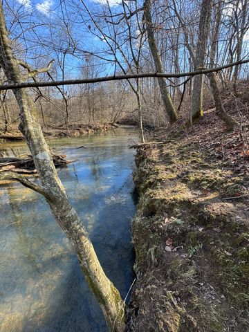 0 Bains Rd, Hillsboro, TN 37342