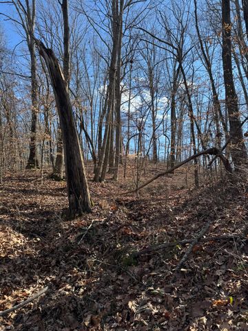 0 Bains Rd, Hillsboro, TN 37342