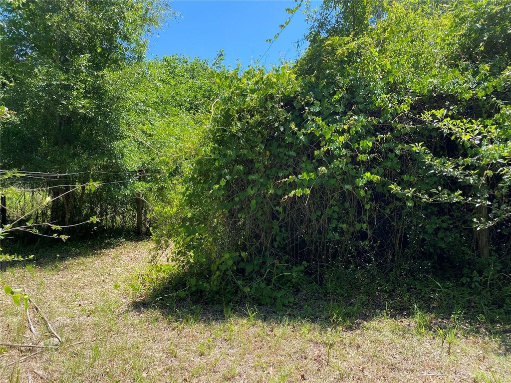 Image 50 of property listing at 2424 NE 170TH STREET, Citra, FL 32113