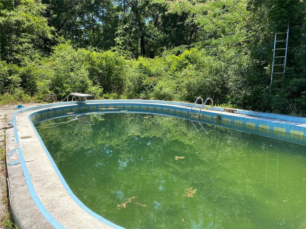 Image 52 of property listing at 2424 NE 170TH STREET, Citra, FL 32113