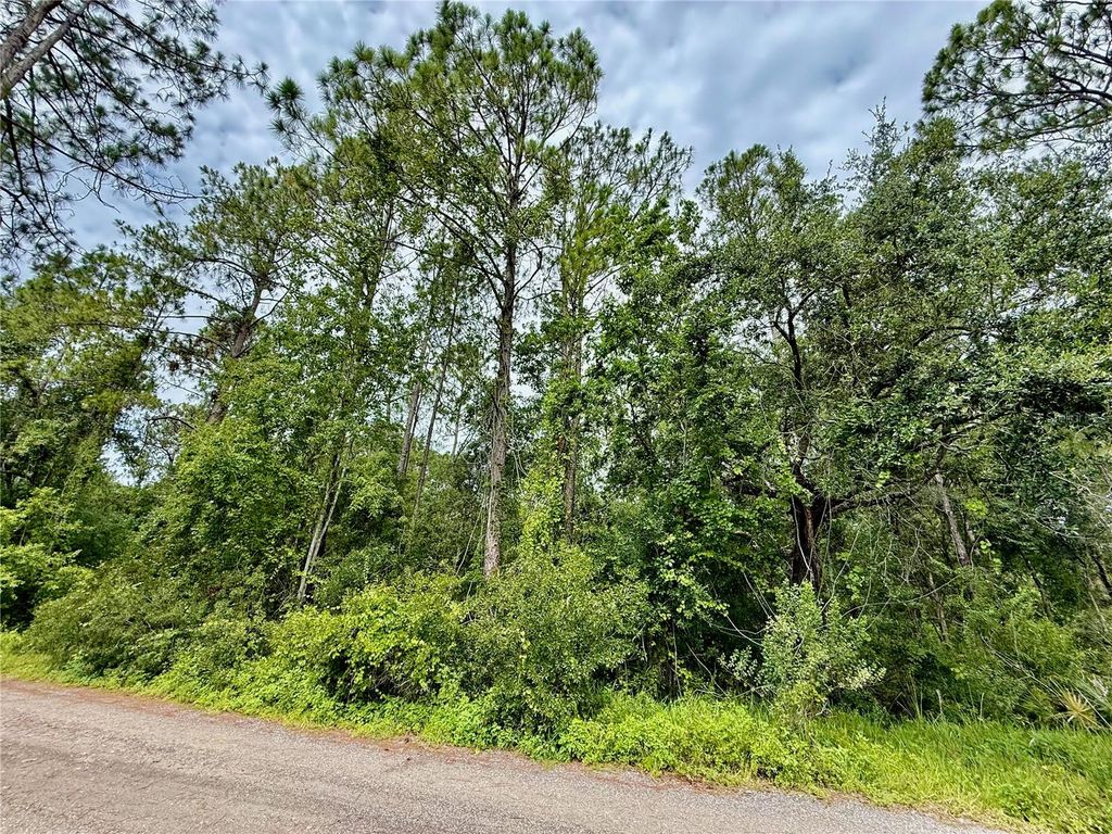 WESTPOINT DRIVE LOT#474, Wesley Chapel, FL 33544