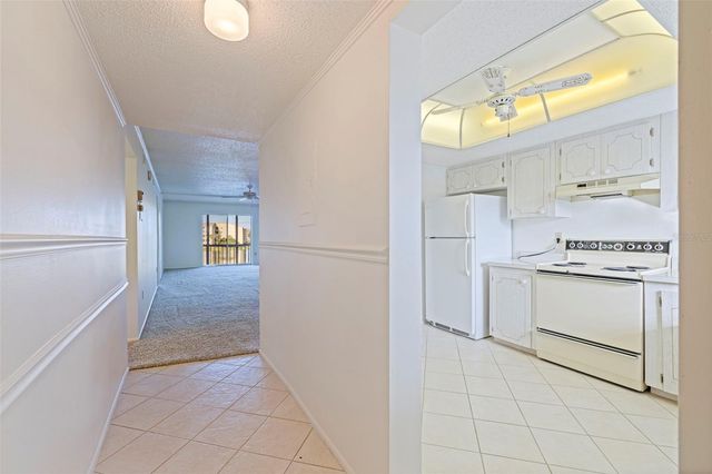 3408 LAKE BAYSHORE DRIVE P-317, Bradenton, FL 34205