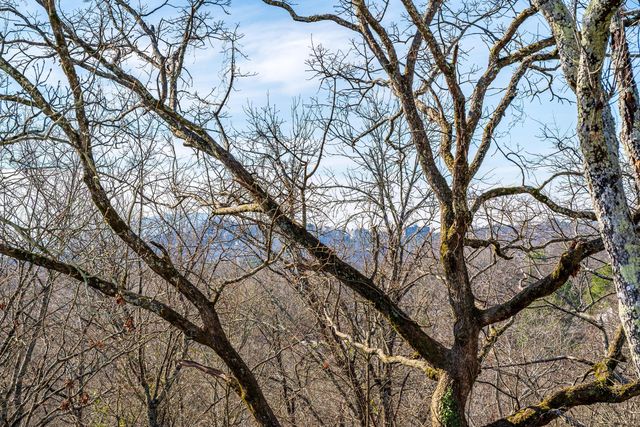 3359 Northrop Street, Lupton City, TN 37351