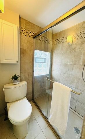 1928 Arsenal Street, St Louis, MO 63118
