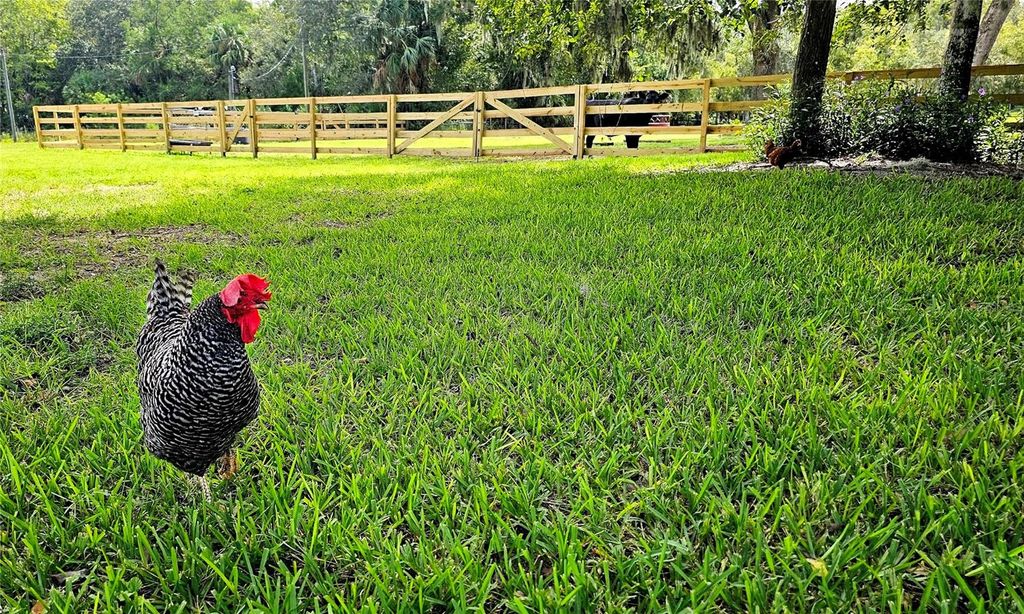 Image 30 of property listing at 2310 DOSTER DRIVE, New Smyrna Beach, FL 32168
