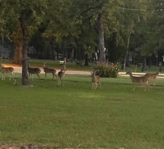 30 Rainbow Drive, Star Harbor, TX 75148