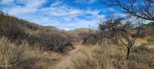 Lot 9 W Red Mountain Road 9, Bisbee, AZ 85603