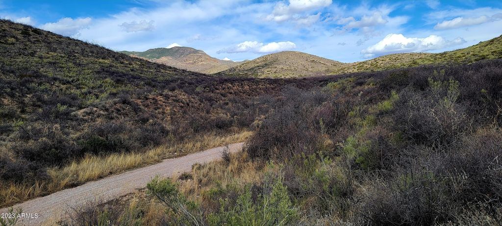 Lot 9 W Red Mountain Road 9, Bisbee, AZ 85603