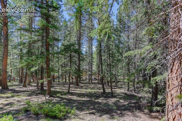 2873 Sunnywood Avenue, Woodland Park, CO 80863