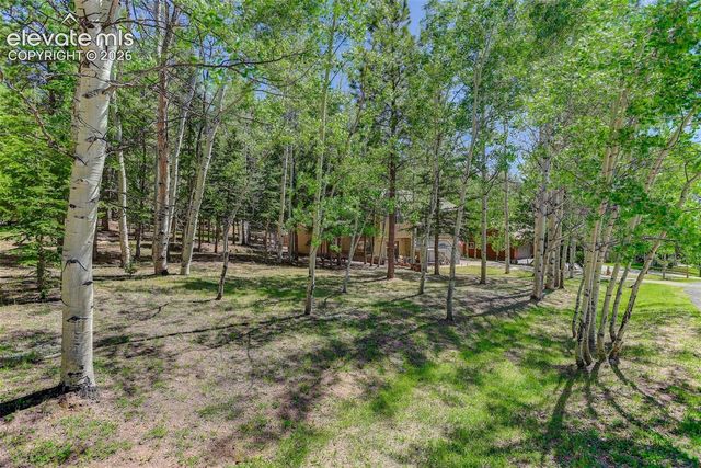 2873 Sunnywood Avenue, Woodland Park, CO 80863