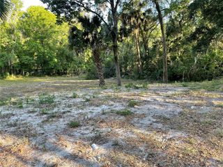 PARK AVENUE, De Leon Springs, FL 32130