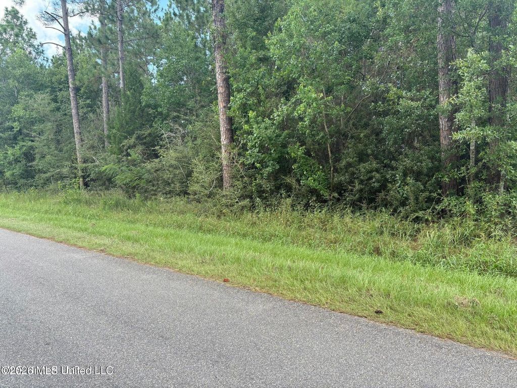 E Pike Street, Bay Saint Louis, MS 39520