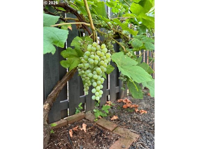 1288 Ne MARGEAUX Pl, Hillsboro, OR 97124