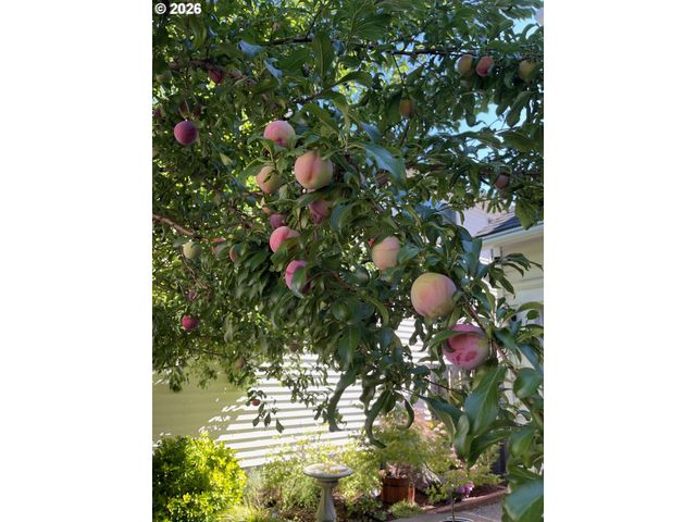 1288 Ne MARGEAUX Pl, Hillsboro, OR 97124