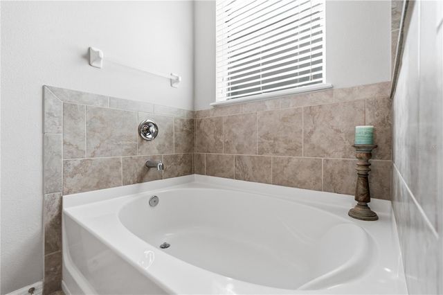 12020 LEGACY BRIGHT STREET, Riverview, FL 33578